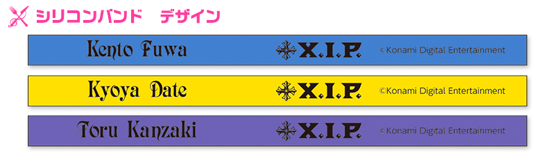 design_xip